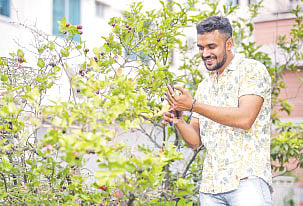 একটু সময় নিয়ে গাছপালার পরিচর্যা করলেও মন ভালো থাকবে