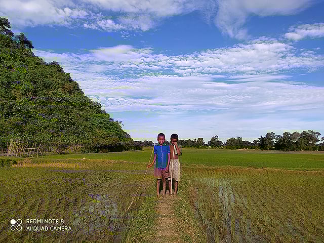 করোনায় স্কুল ছুটি। তাই দ্বিতীয় শ্রেণিতে পড়া দুই শিশু বাবু আর মনিরের দিন কাটছে গরু চরিয়ে। বাকাতলা, ধর্মপাশা উপজেলা, সুনামগঞ্জ, ৫ আগস্ট। ছবি: নাজমুল মৃধা