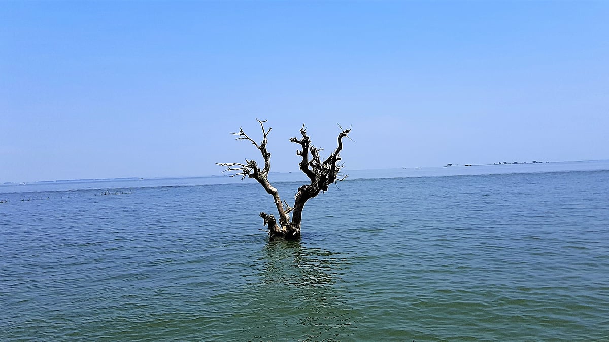 ফাইল ছবি