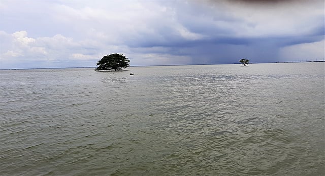 এমন সৌন্দর্য উপভোগ করতে হাওরে যান ভ্রমণপিপাসুরা। ছবি: লেখক