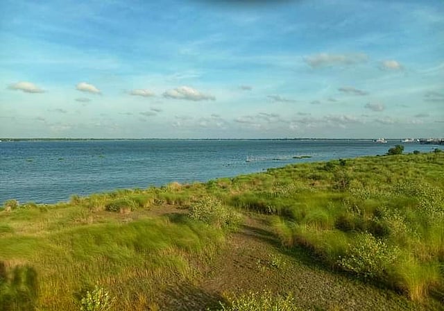 এক পাশে নদী, অন্য পাশে কাশফুল। সবুজের সমারোহ। নারায়ণগঞ্জের সোনারগাঁয়ের বৈদ্যের বাজার ঘাটের পাশে ভাটিবন্দর ও কান্দারগাঁ গ্রামের কোলঘেঁষা মাঠে অপরূপ সৌন্দর্যের ছবিটি শনিবার তোলা। ছবি: মো. মীমরাজ হোসেন