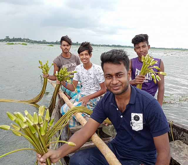 বর্ষার মনোমুগ্ধকর দৃশ্যের মধ্যে সবচেয়ে আকর্ষণীয় হলো ‘শাপলা ফুল’। কৈশোরকালে গ্রামে বেড়ে ওঠা ছেলে কিংবা মেয়ে এমন কেউ নেই যে শাপলা মেলায় নিজেকে হারায়নি। শেখেরগাঁও, মেঘনা, কুমিল্লা, ৭ আগস্ট। ছবি: রাব্বি হাসান