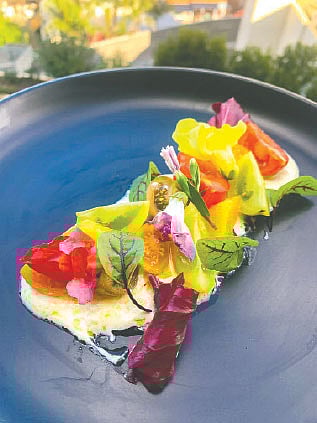 সামার সালাদ