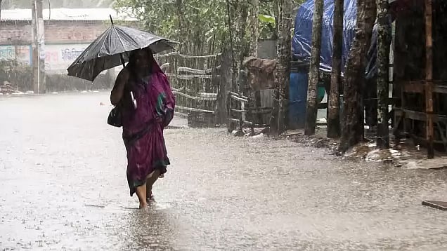 ফাইল ছবি