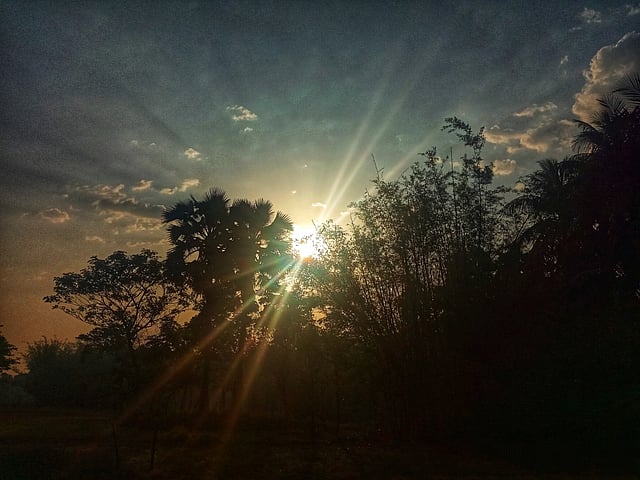 রাতের আঁধার কাটিয়ে উঁকি দিচ্ছে সকালের সূর্য। তাহেরপুর, খোকসা, কুষ্টিয়া, ১১ আগস্ট। ছবি: শাহরিয়ার সুমন