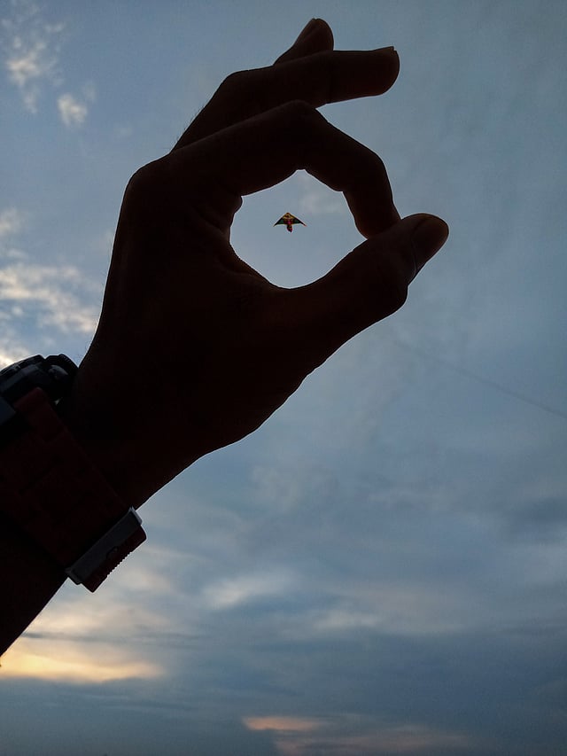 ঘুড়িটাও আজ বড্ড একা। দেবিদ্বার, কুমিল্লা, ১২ আগস্ট। ছবি: মেহেদী হাসান