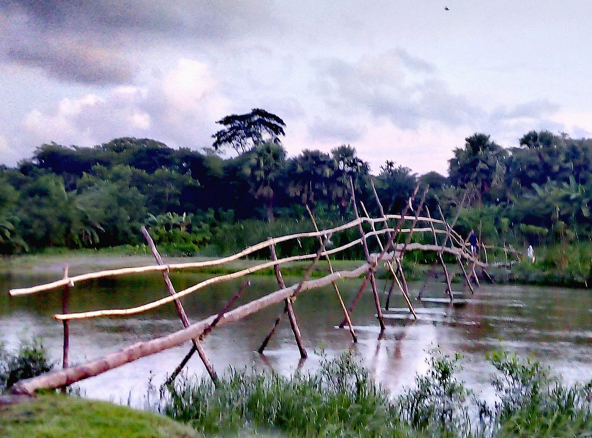 আজকাল গ্রামে আর আগের দিনের মতো সাঁকো চোখে পড়ে না! কিন্তু এই গ্রামে নদীর ওপারে চরের মানুষের গ্রামের সঙ্গে যাতায়াতের প্রধান উপায় এই সাঁকোটি। কাউখালী, ছোটবাইশদিয়া ইউনিয়ন, রাঙ্গাবালী, পটুয়াখালী, ১২ আগস্ট। ছবি: মো. মাইদুল ইসলাম