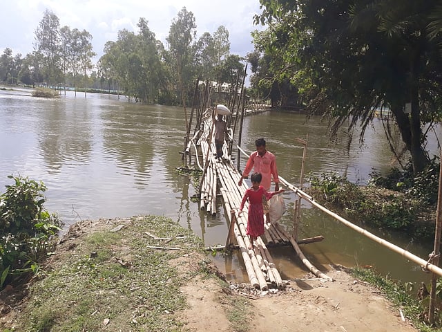 সম্প্রতি বন্যায় পানি বাড়ায় টাঙাইলের ঘাটাইল উপজেলার বংসাই নদীর পানিও বেড়েছে। উপজেলার রসুলপুর ইউনিয়নের পেচারআাটা বাজার থেকে, আমপুর, আমখালি, হাজিপুর, মানিকপুর, আমাবাইদ, কুড়িপাড়াসহ ইউনিয়নের বেশির ভাগ গ্রাম প্লাবিত হয়েছে। স্থানীয় অন্তত ২০ গ্রামের হাজারও মানুষের দৈনন্দীন ও নিত্যপ্রয়োজনীয় কাজে যাতায়াতের জন্য একমাত্র ভরসা বাঁশের এ সাঁকোটি। স্থানীয় ব্যক্তিদের অভিযোগ, বংসাই নদীতে এলাকাবাসীর একটি সেতুর দাবির পরিপ্রেক্ষিতে জনপ্রতিনিধিরা বারবার কথা দিলেও বাস্তবায়িত হয়নি সে কথার। ছবিটি মঙ্গলবার দুপুরে ঘাটাইলের পেচারআটা বাজার থেকে তোলা। ছবি: ইমতিয়াজ আহমেদ