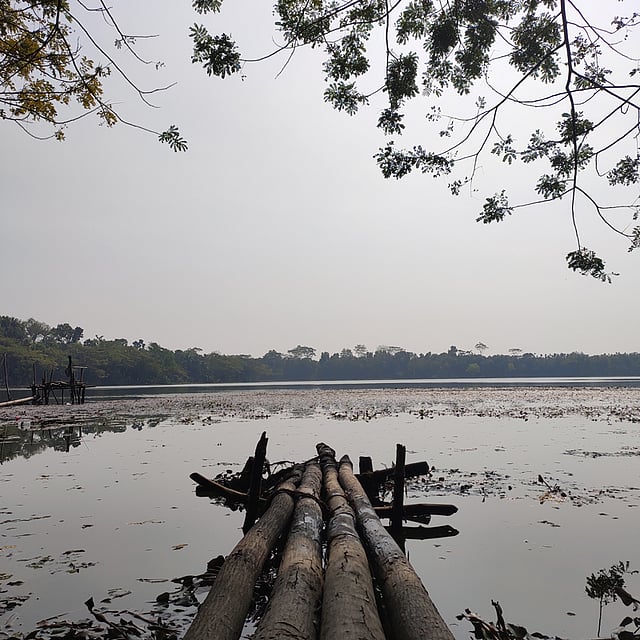 জল ও জীবন। হজরত খানজাহান (র.)-এর মাজার–সংলগ্ন দিঘি, সদর উপজেলা, বাগেরহাট, ১০ আগস্ট। ছবি: শরীফ মো. নাফিজ শাহরিয়ার