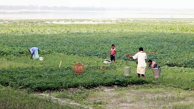 ফাইল ছবি