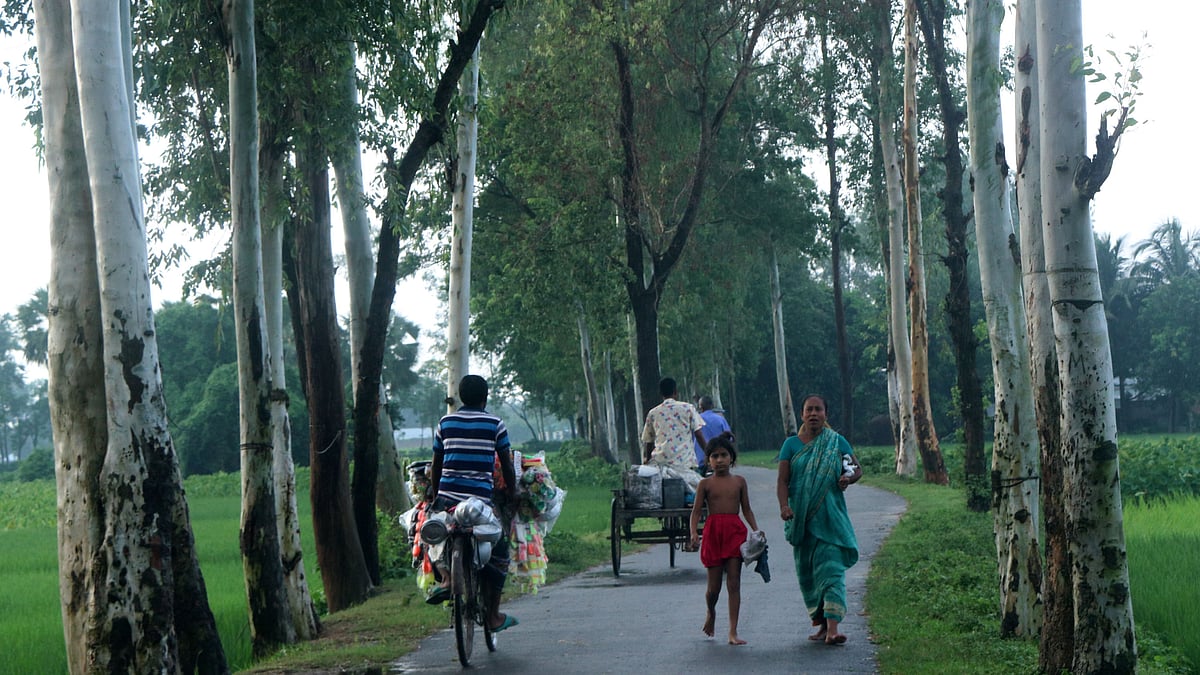 ছবি: সোয়েল রানা