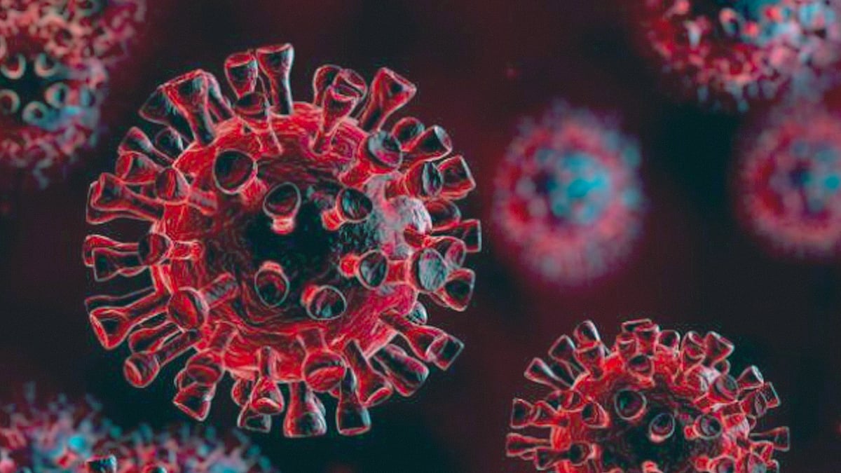 প্রতীকী ছবি