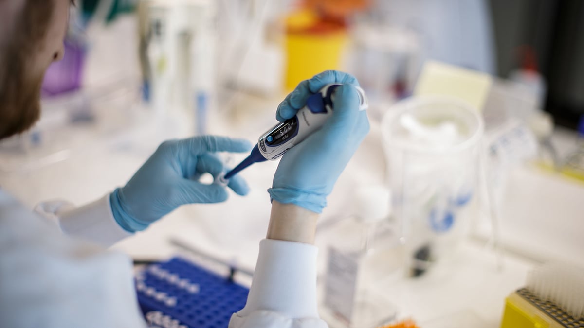 প্রতীকী ছবি।