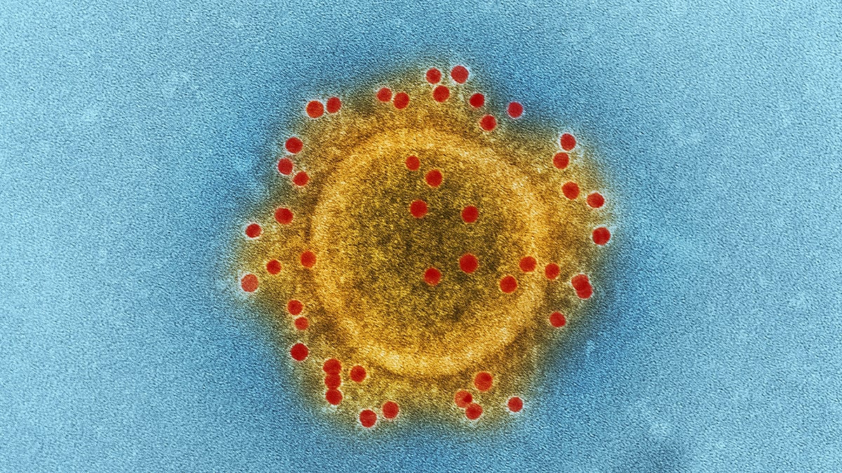 প্রতীকী ছবি 