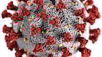 করোনাভাইরাস