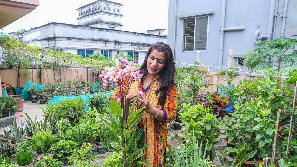 ছবি: সাবিনা ইয়াসমিন