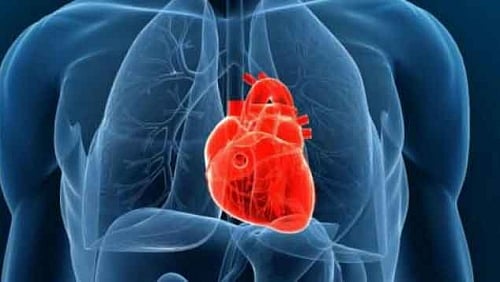 প্রতীকী ছবি