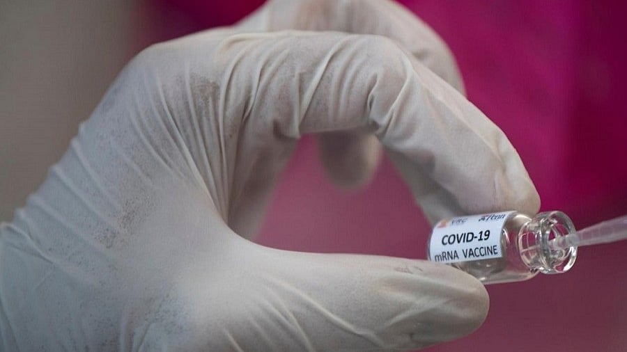 ফাইল ছবি