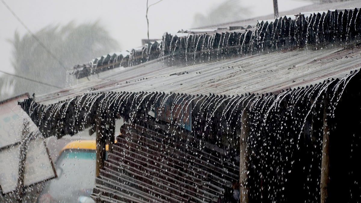 ফাইল ছবি