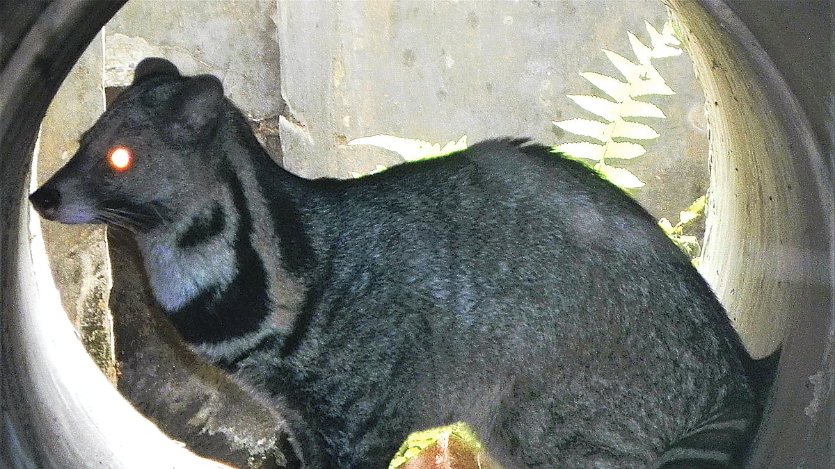 ছবি: আ ন ম আমিনুর রহমান