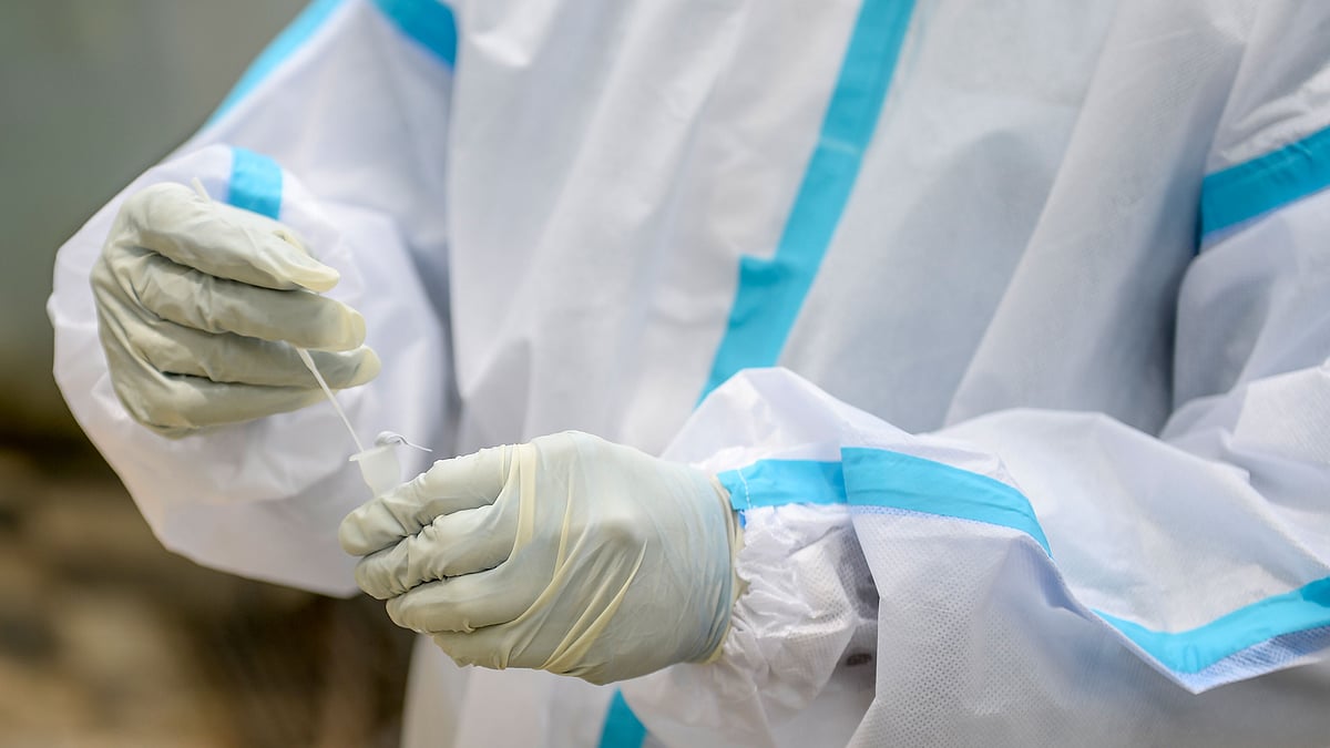 ফাইল ছবি।