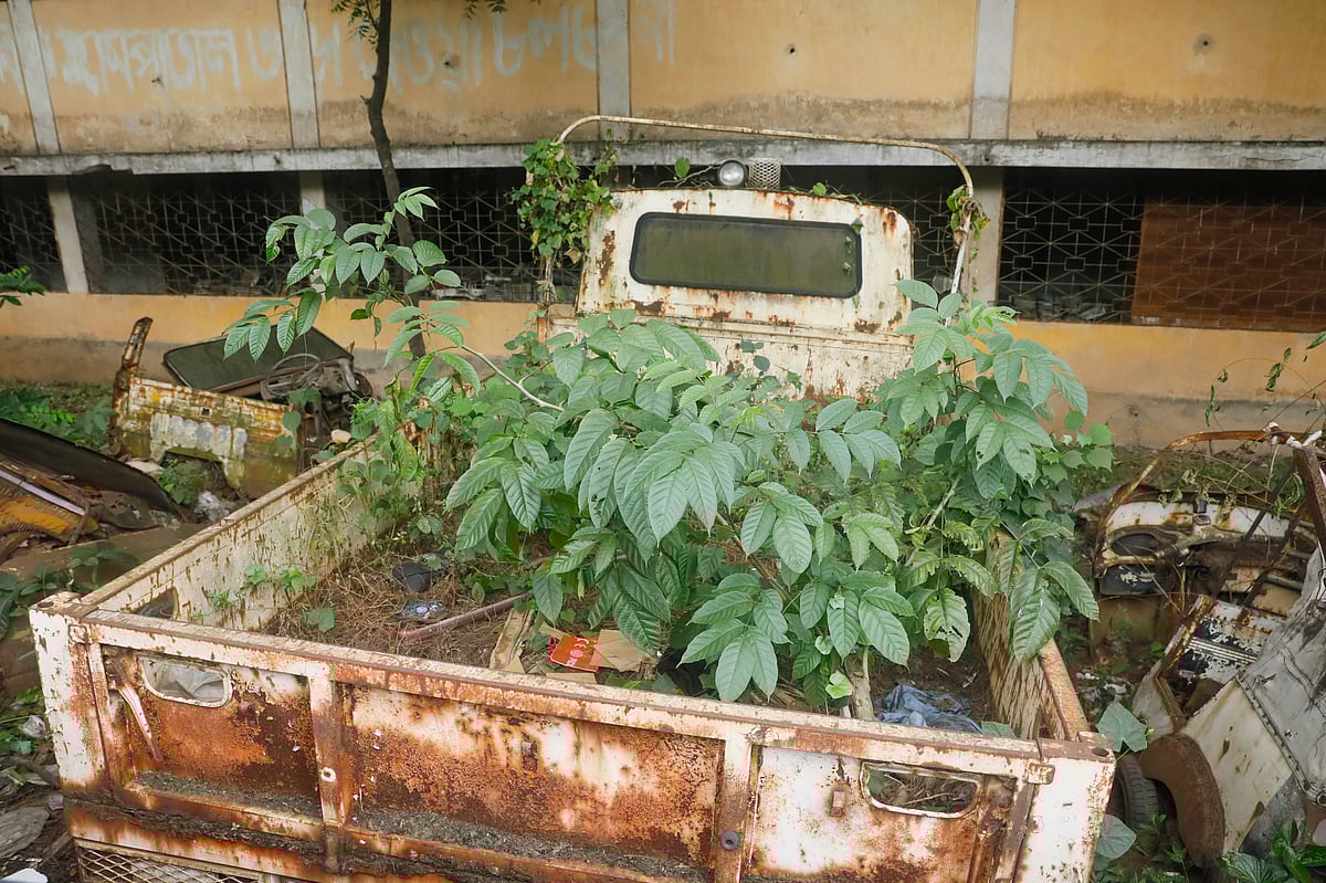  ছবি: আশরাফুল আলম