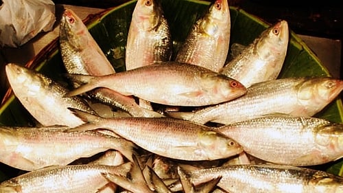 প্রতীকী ছবি