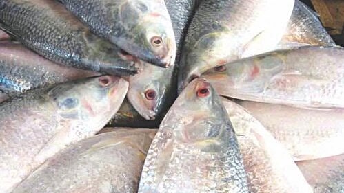 ছবি: প্রথম আলো