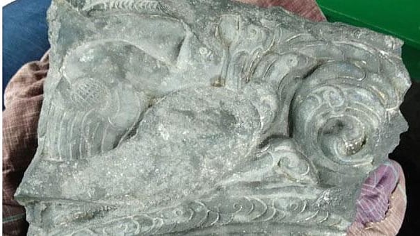 সংগৃহিত