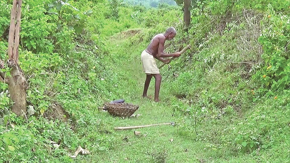 ছবি: এএনআইয়ের সৌজন্যে
