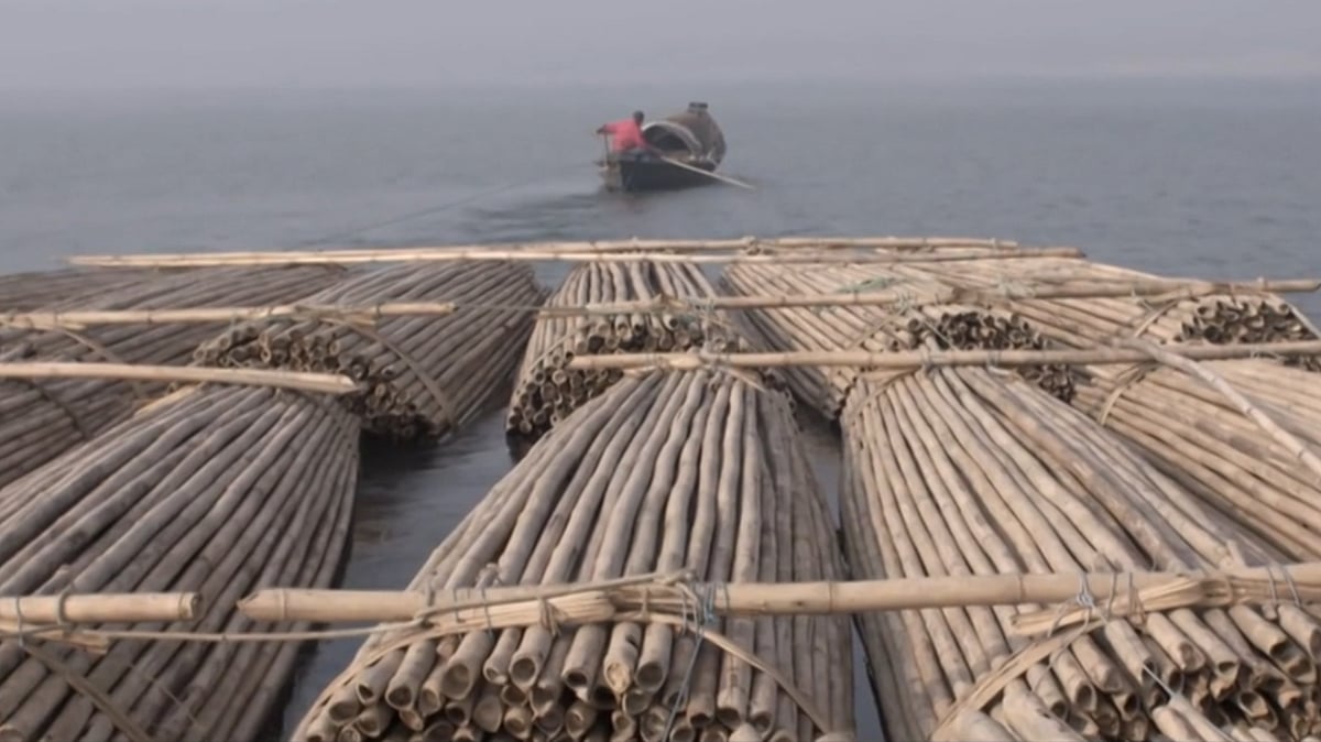 ছবির দৃশ্য