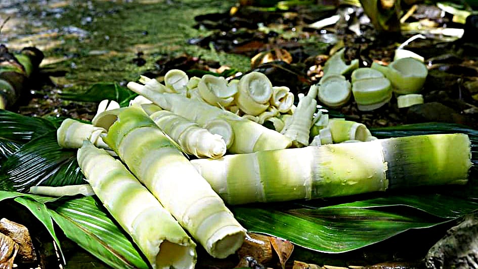 ছবি: অর্পন চাঙমা