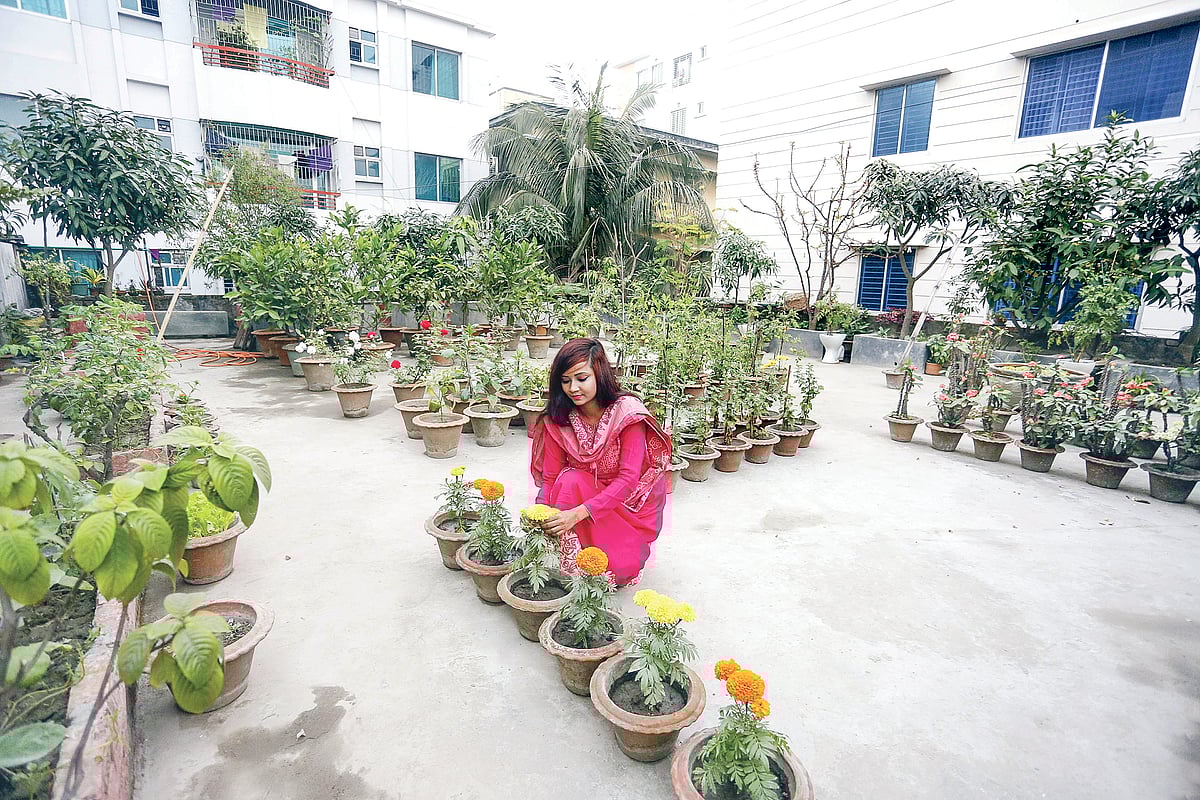 ছবি: অধুনা