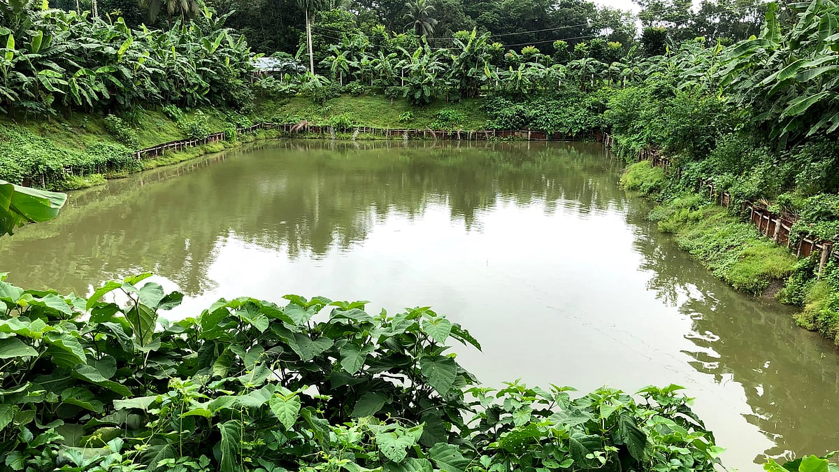 প্রথম আলো