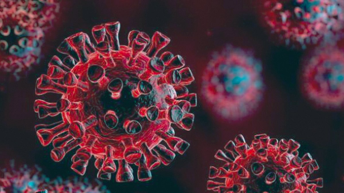 করোনাভাইরাস