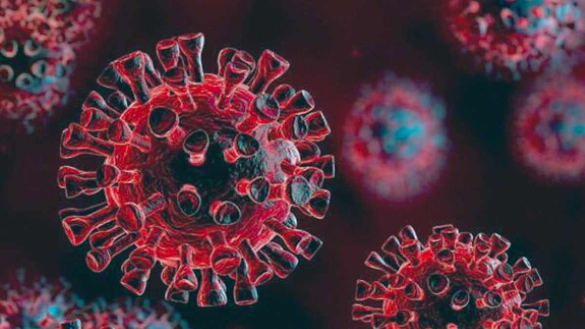 প্রতিকী ছবি