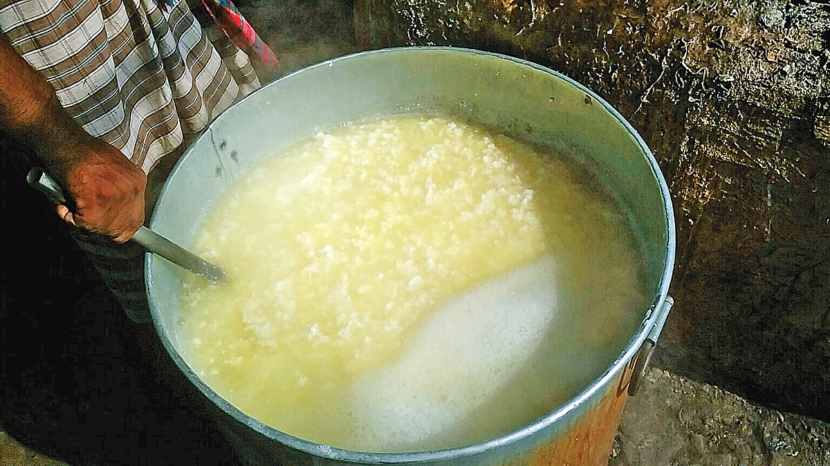 ছবি: প্রথম আলো 