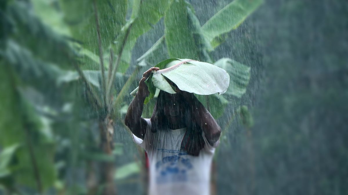 ফাইল ছবি