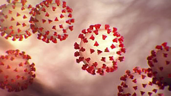 প্রতীকী ছবি