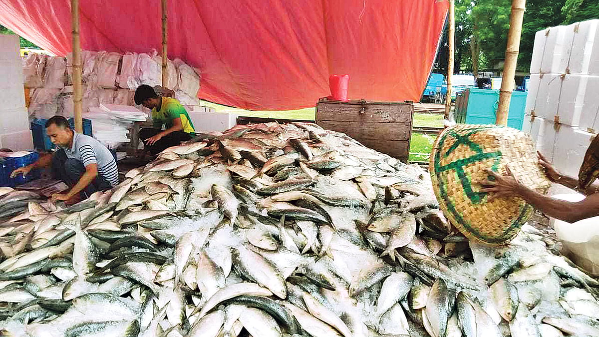 ছবি: আলম পলাশ