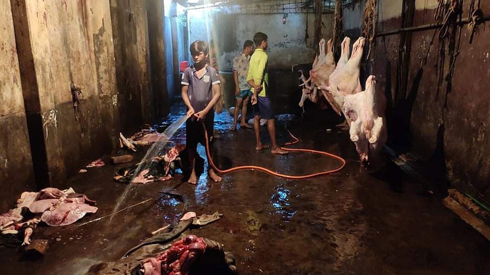 ছবি: প্রথম আলো