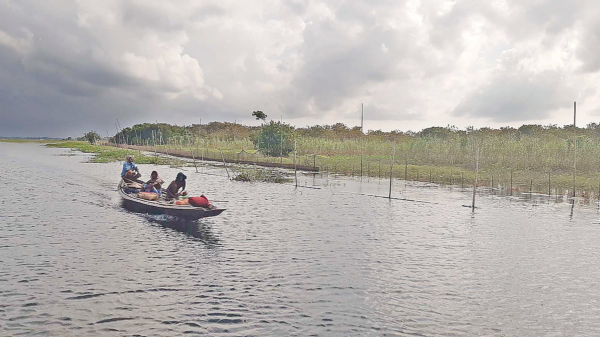 ছবি: প্রথম আলো