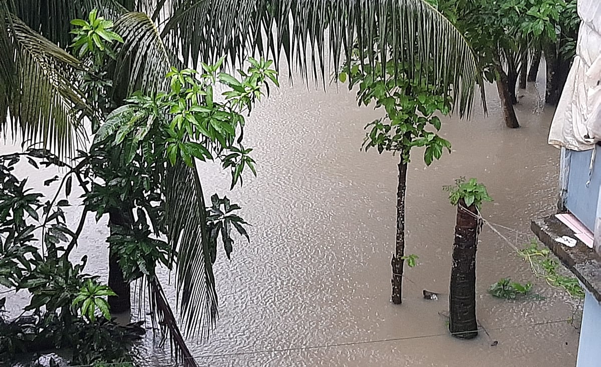 ছবি: প্রথম আলো 