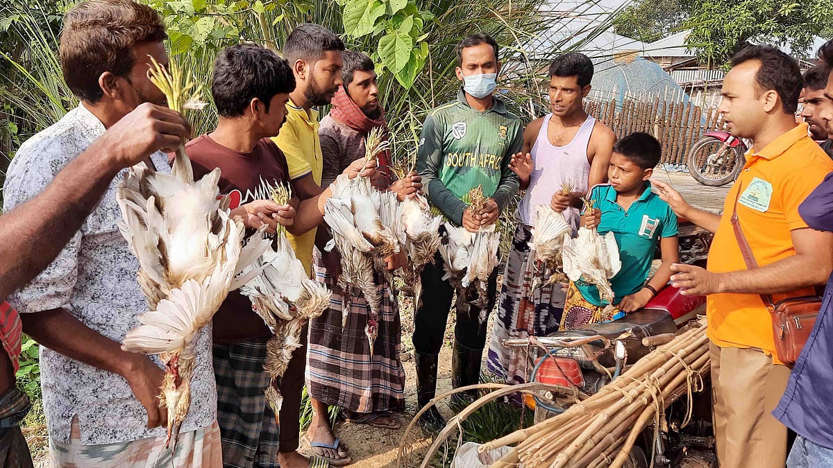 প্রথম আলো