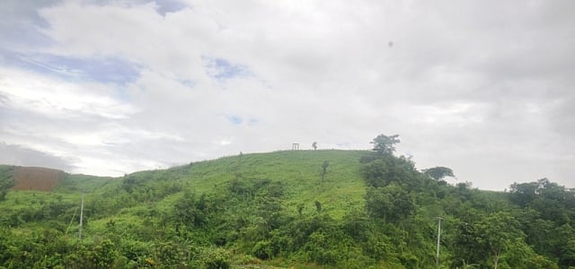 ছবি প্রথম আলো