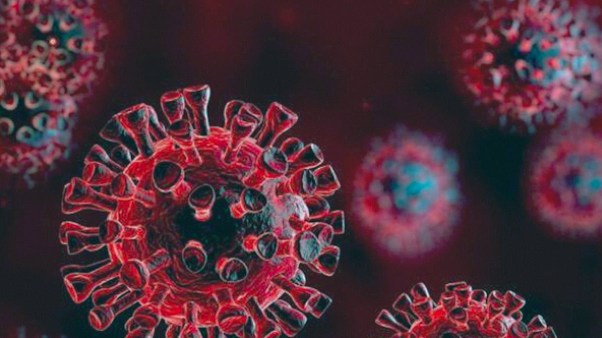 প্রতীকী ছবি