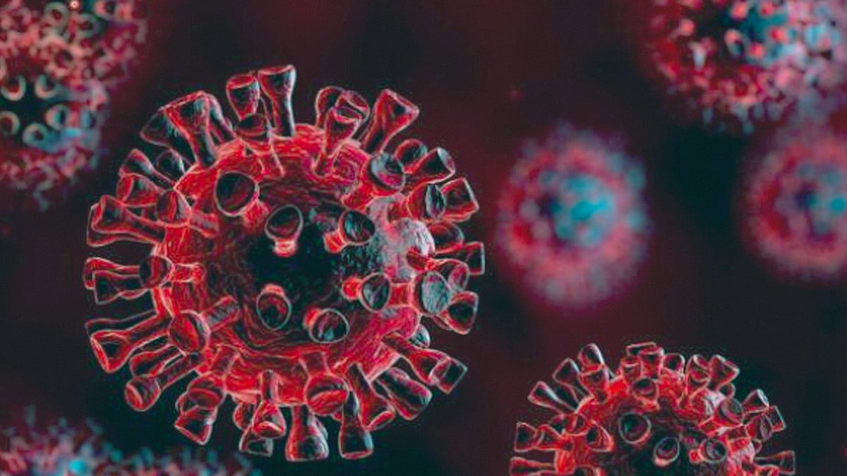 প্রতীকী ছবি