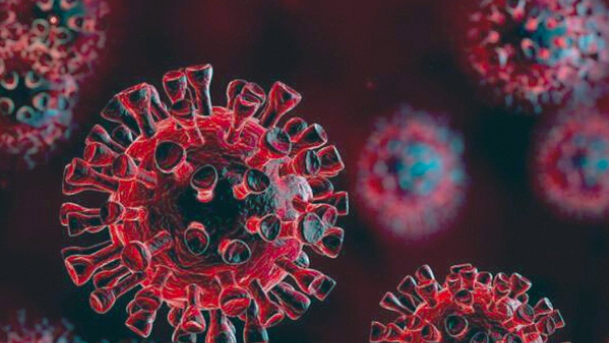 প্রতীকী ছবি