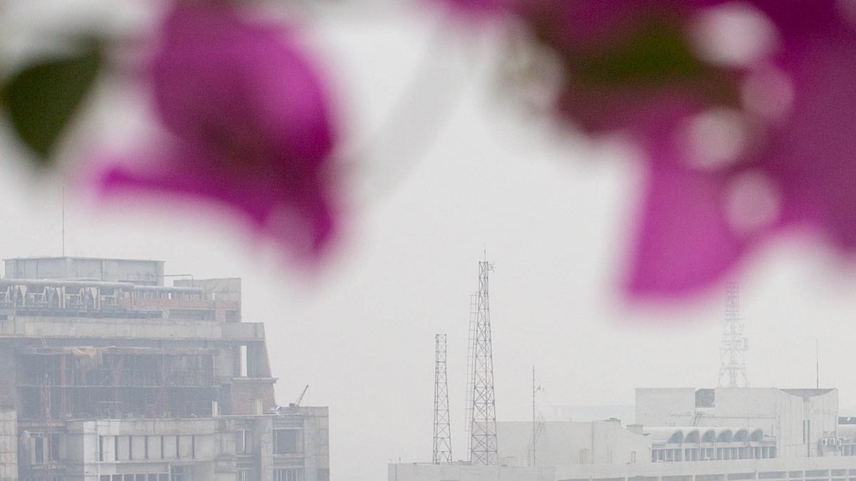 ফাইল ছবি 