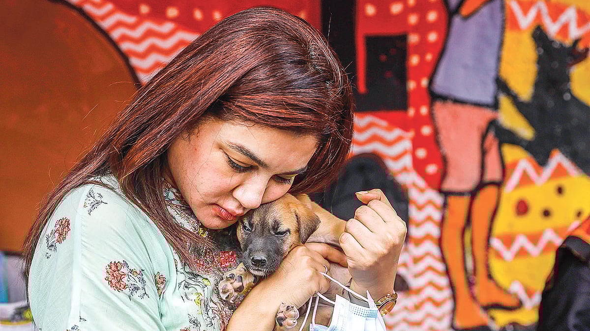 ছবি: তানভীর আহাম্মেদ